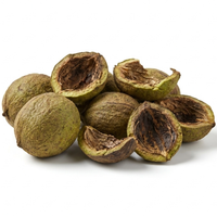 Black Walnut Hulls Extract
