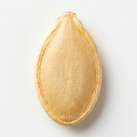 Pumpkin Seed Extract