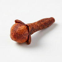 Clove Bud Extract
