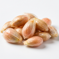 Grapefruit Seed Extract (20:1)
