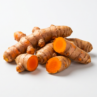 Turmeric Root Extract (30:1)