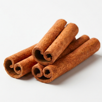 Cinnamon Bark Extract