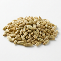Fennel Seed Extract